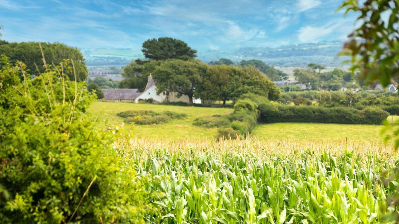 Tan Yr Allt Llangadwaladr  エクステリア 写真